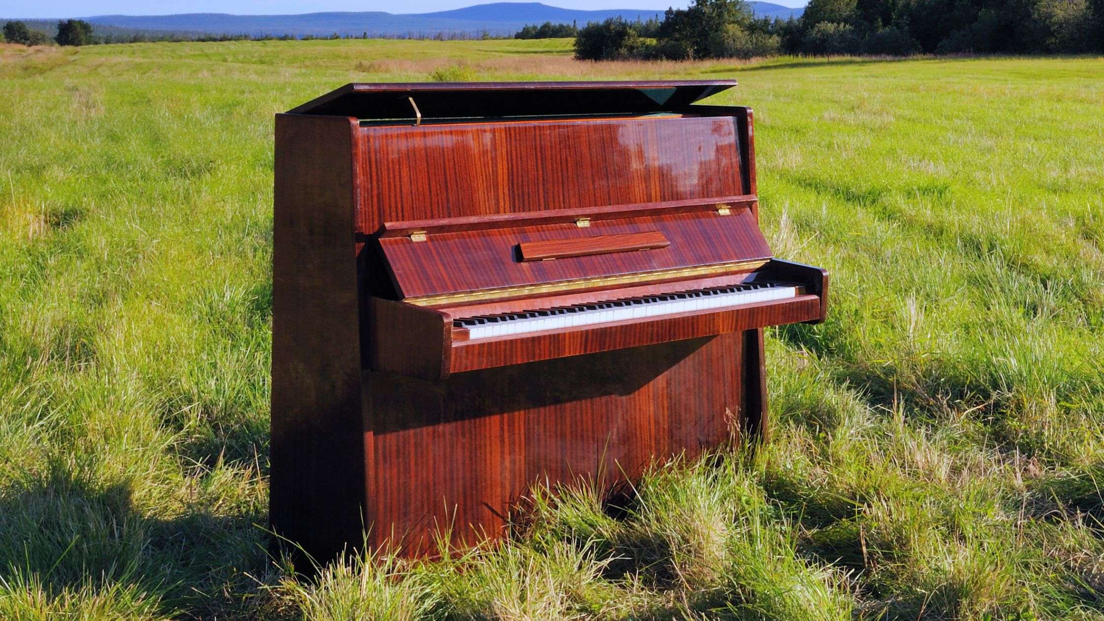 How To Sell Pianos Online, Step by Step (Free Method)