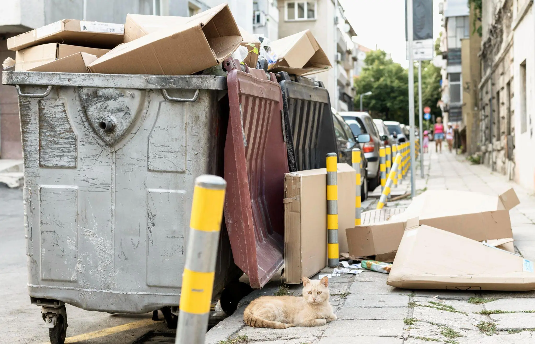 Commercial Dumpster vs Roll-off Dumpster: A Comparison