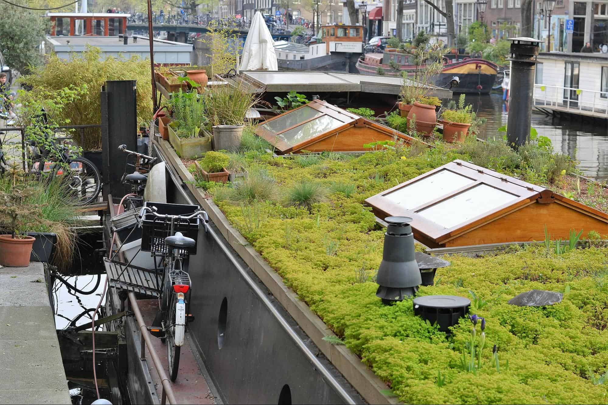 Houseboats with green roofs in Rotterdam, the Netherlands.