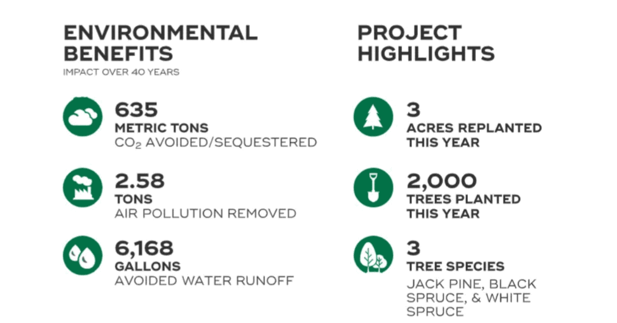 Overview of the Ogoki Wildfire Restoration Project courtesy of Marq.